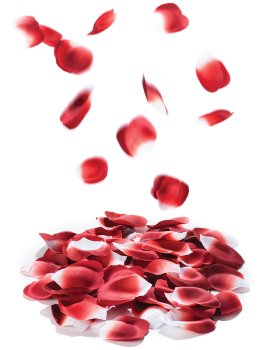 Romantické okvětní lístky růží – Vzrušující, zábavné a sexy doplňky do domácnosti