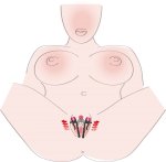 Roztahovač vaginy a stydkých pysků Intimate Spreader Strong