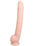 Realistické dildo s varlaty a přísavkou Dick Rambone