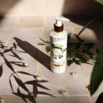 Hydratační tělové mléko Jeanne en Provence – oliva