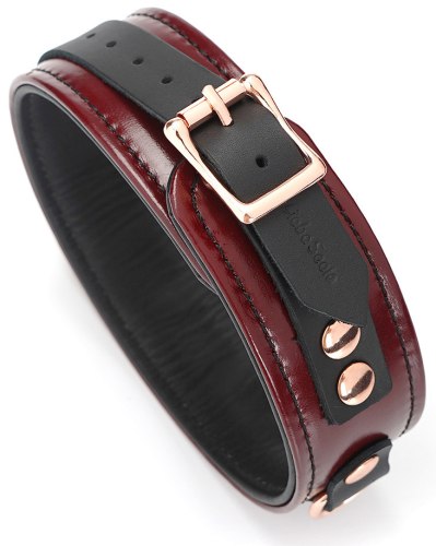 Kožený obojek s vodítkem Wine Red