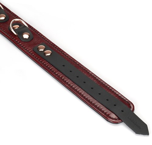 Kožený obojek s vodítkem Wine Red