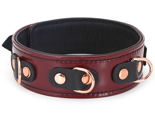 Kožený obojek s vodítkem Wine Red