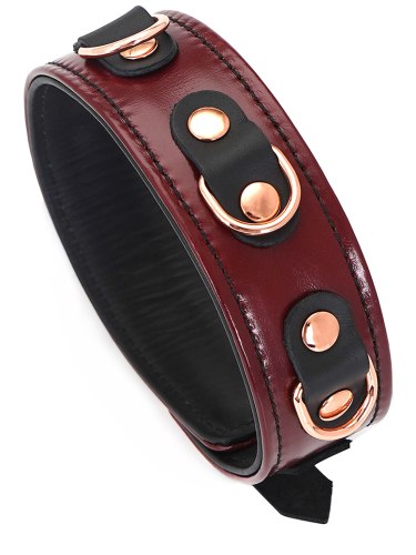 Kožený obojek s vodítkem Wine Red