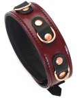 Kožený obojek s vodítkem Wine Red