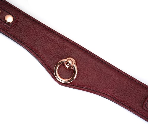 Uzamykatelný kožený obojek s vodítkem Wine Red