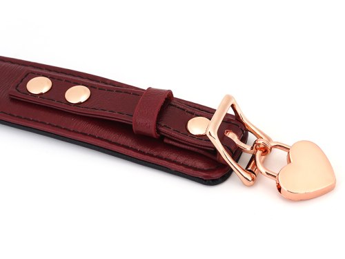 Uzamykatelný kožený obojek s vodítkem Wine Red