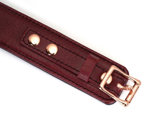 Uzamykatelný kožený obojek s vodítkem Wine Red