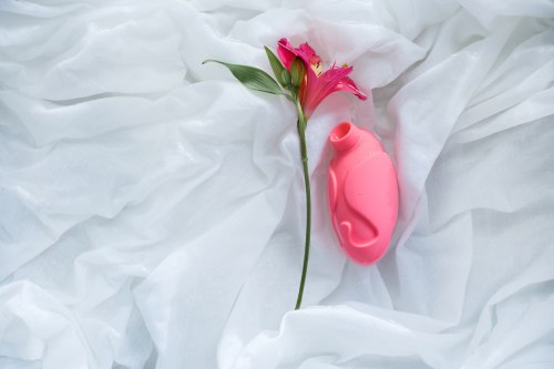 Stimulátor klitorisu Fantasy Colibri