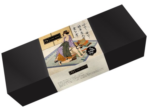 Kožený obojek s vodítkem Samurai