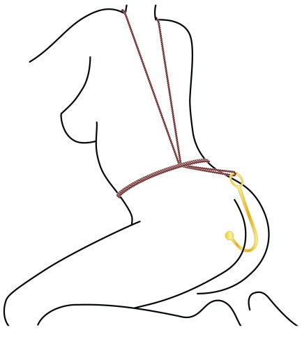 Anální hák Taboom