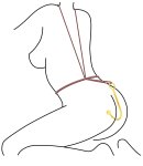 Anální hák Taboom