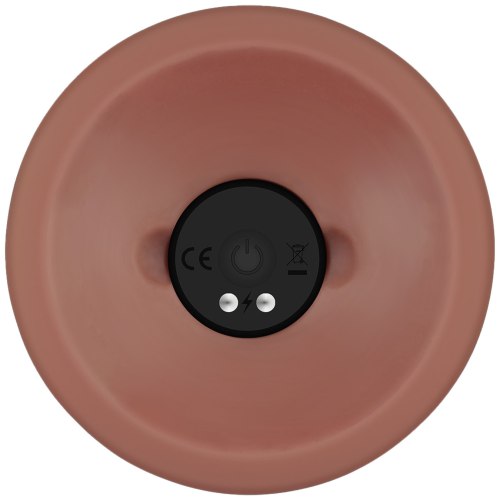 Realistický vibrátor s přísavkou Power Cock 10,5"