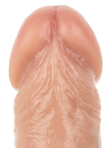 Realistické dildo s přísavkou Troy