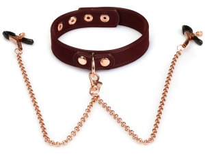 BDSM obojek se svorkami na bradavky Metallic Shade – BDSM obojky