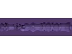 Umělá vagina Fleshlight Predator